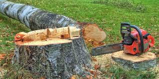 How Our Tree Care Process Works  in  Hanceville, AL